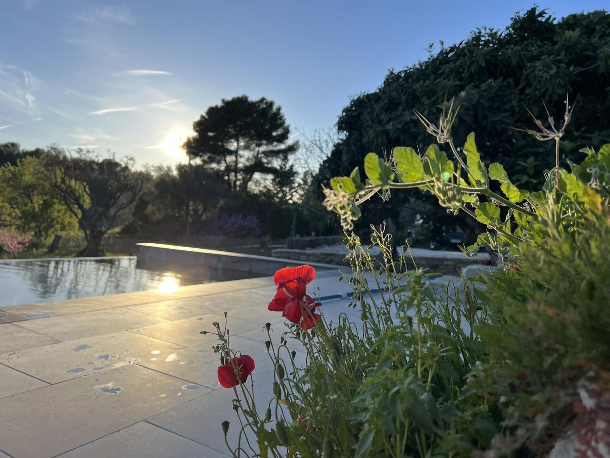 Le Mas Golie Le Castellet  ภายนอก รูปภาพ