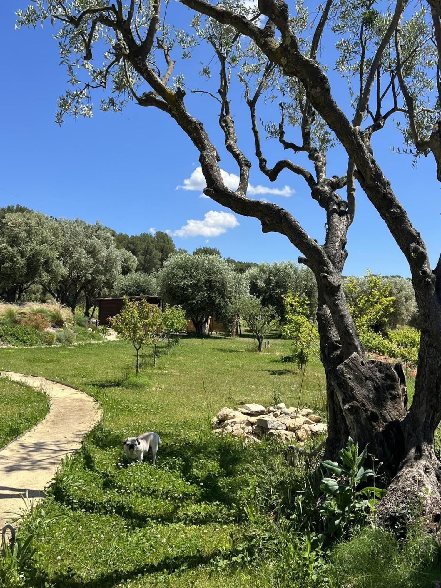 Le Mas Golie Le Castellet  ภายนอก รูปภาพ